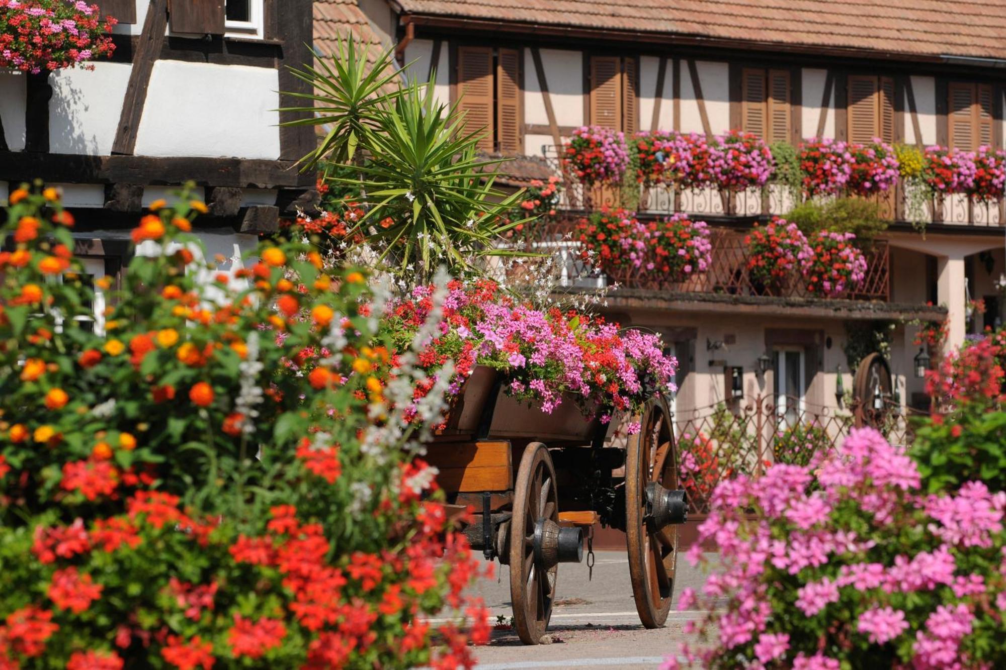 Gite Marcel Et Marianne Jardin Et Parking Privatifs Ebersheim Εξωτερικό φωτογραφία